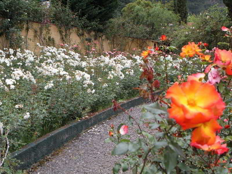 Pestana Quinta Do Arco Nature & Rose Garden Hotel Arco de São Jorge エクステリア 写真