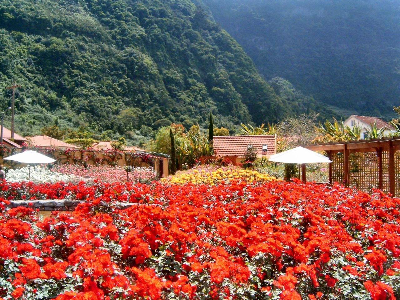 Pestana Quinta Do Arco Nature & Rose Garden Hotel Arco de São Jorge エクステリア 写真